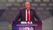 NRA endorses Donald Trump for US President