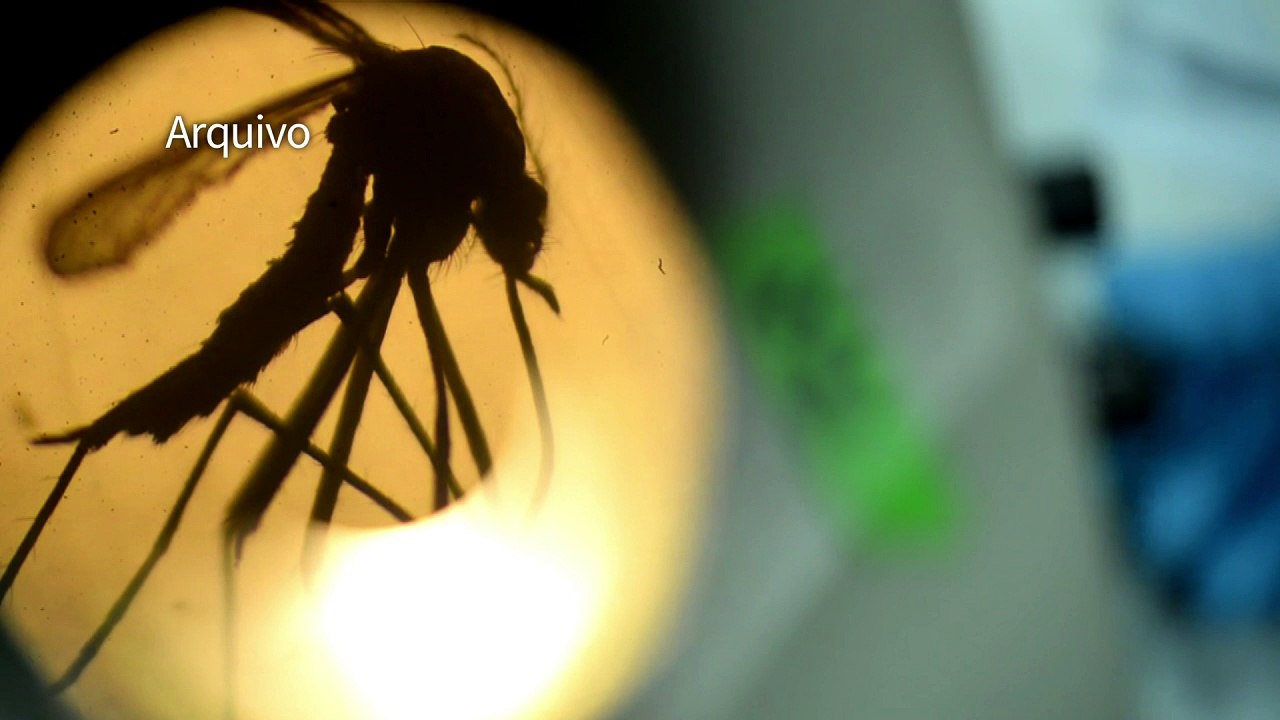 Zika se propaga