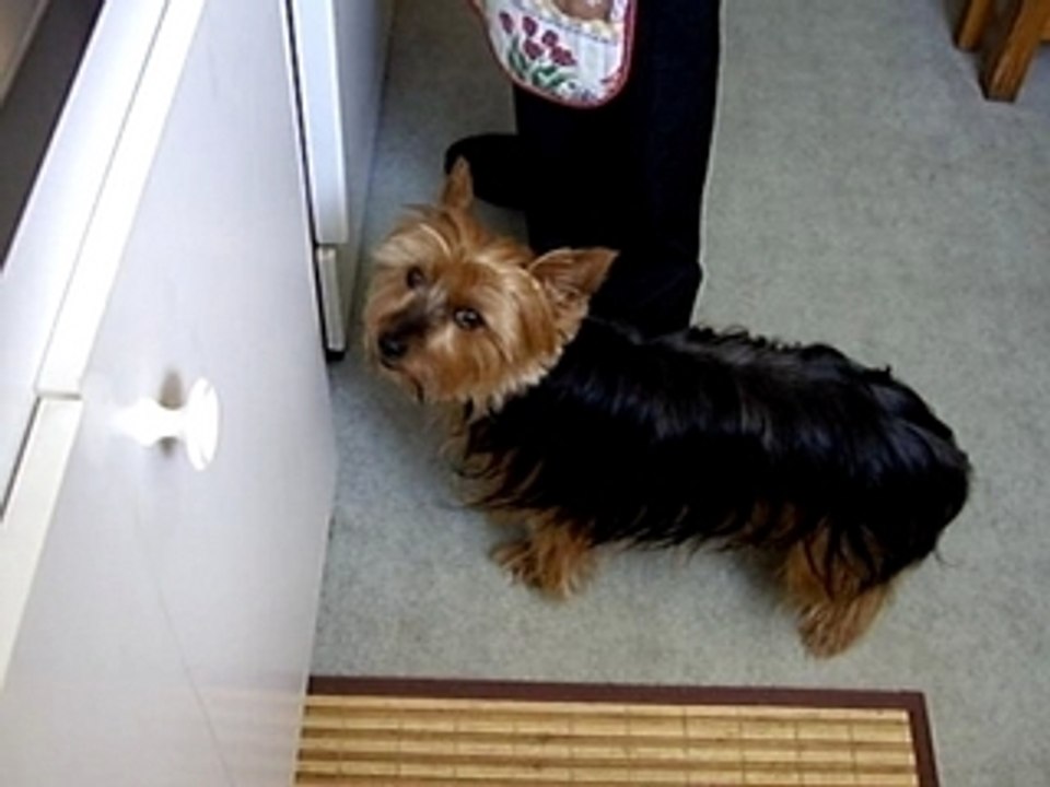 C'est quand qu'on mange