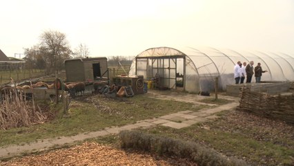 Van zaad naar biet op het bord From beet seed to the plate