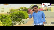 Hasratein Episode 29 - 18 May 2016 - PTV Home