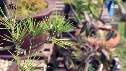 ≡분당출장안마≡ OlO↔6623↔➍O5O ＊분당출장마사지＊