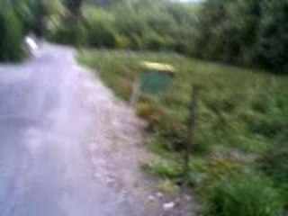 nicolas et yanis jackass