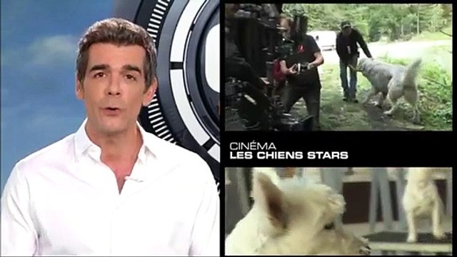 Les chiens stars du cinéma - Belle et Sébastien 2 en tournage