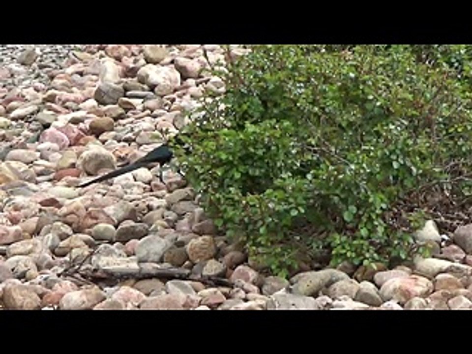manitousprings