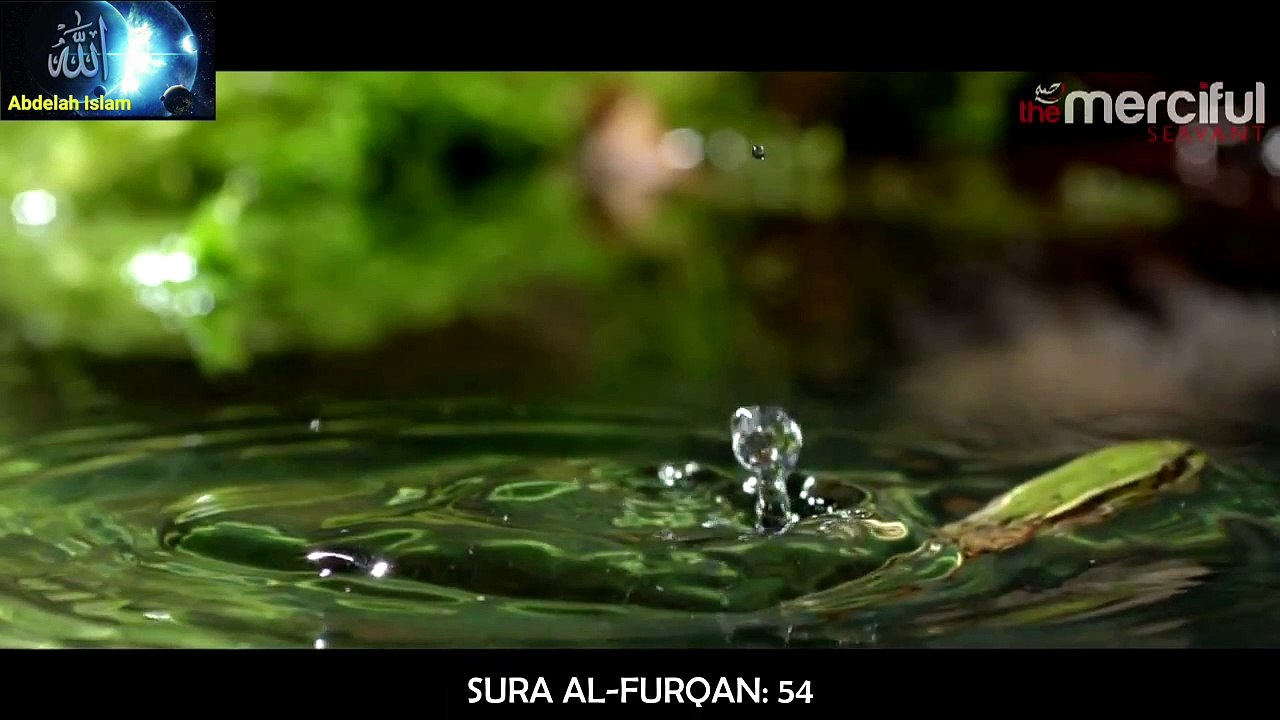 Islam Signos del Creador