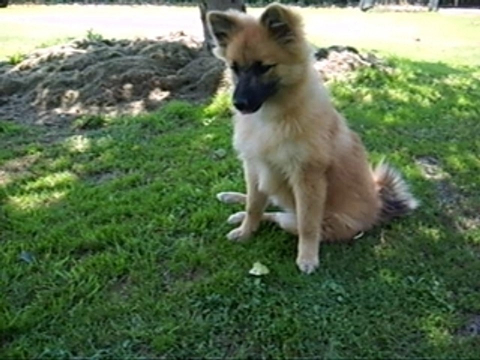 Louna et Lilou