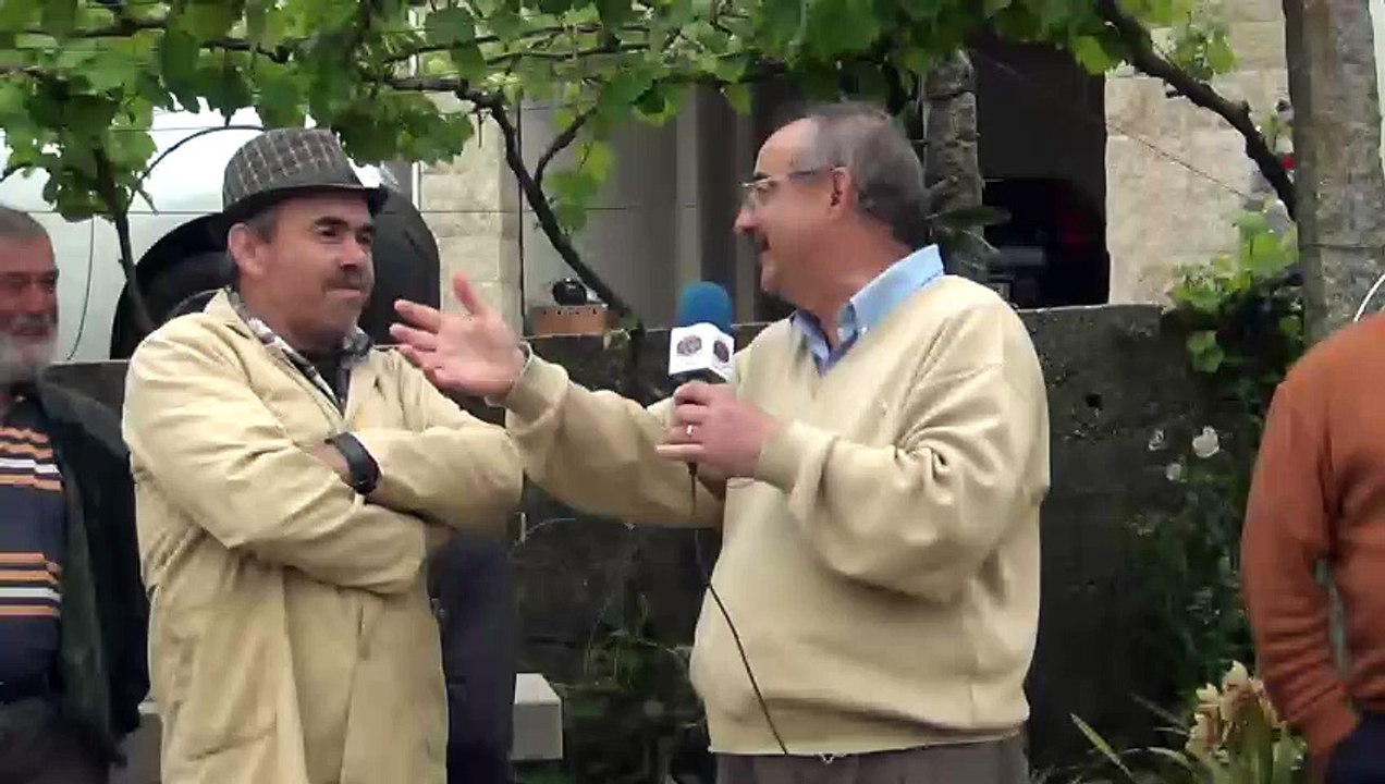 Chegada de Pombos de Valência Del Cid (parte 02)