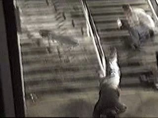 skate chute
