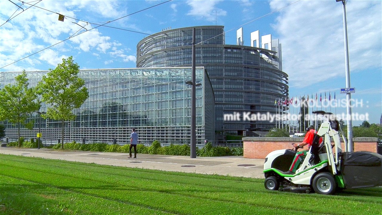 Buffalo 124 der Spezialist für großen Flächen