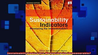 READ book  Sustainability Indicators Measuring the Immeasurable  DOWNLOAD ONLINE
