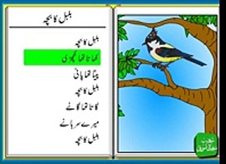 Bulbul Ka Bacha (Urdu Poem for Kids)