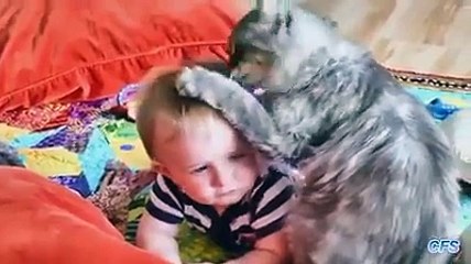 تريد أن تضحك .. شاهد الفيديو ههههه