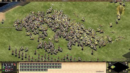 300 Elite Cataphract vs 300 Paladin   Age of Empires II
