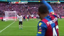 Crystal Palace vs Manchester United 1-1 All Goals & Highlights HD 21.05.2016