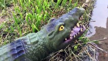 Alligator VS shark thirsty gator attacks great white Animal planet KIDS TOYS video