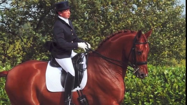 Sarah Millis' guide to plaiting for dressage