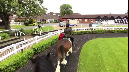 Shires vs. Clydesdales preview - Lingfield Racecourse