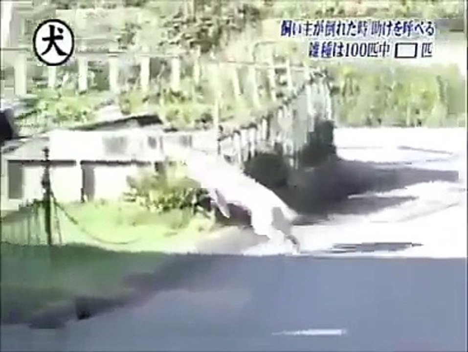 Nice video