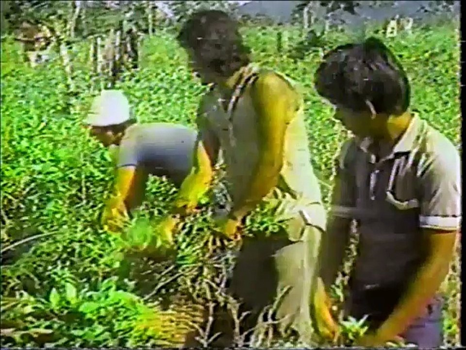 Teletrece Noche (Telenoche) / Canal 13 (UCTV) Chile - Miercoles 16 de Julio de 1986