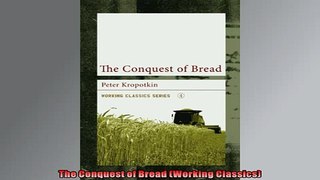 READ book  The Conquest of Bread Working Classics  FREE BOOOK ONLINE