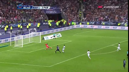Zlatan Ibrahimovic Goal HD - Marseille 1-4 PSG - 21-05-2016