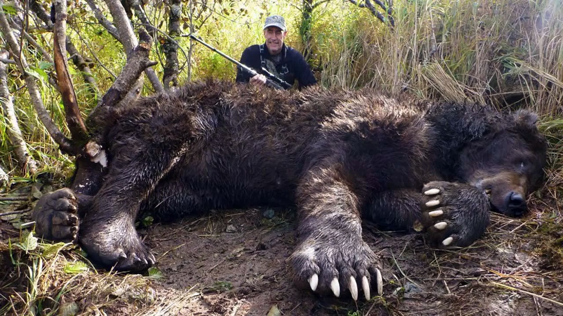 World's Biggest Animals All Time   Biggest Animals  Huge Animals   BIG ANIMALS  LARGGEST ANIMAL
