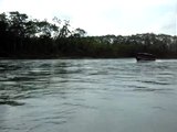 PERU. Manu. En balsa por el Alto Madre de Dios 19. GRINGOS!!