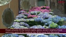 Girona flourishes with 'Temps de Flors' festival