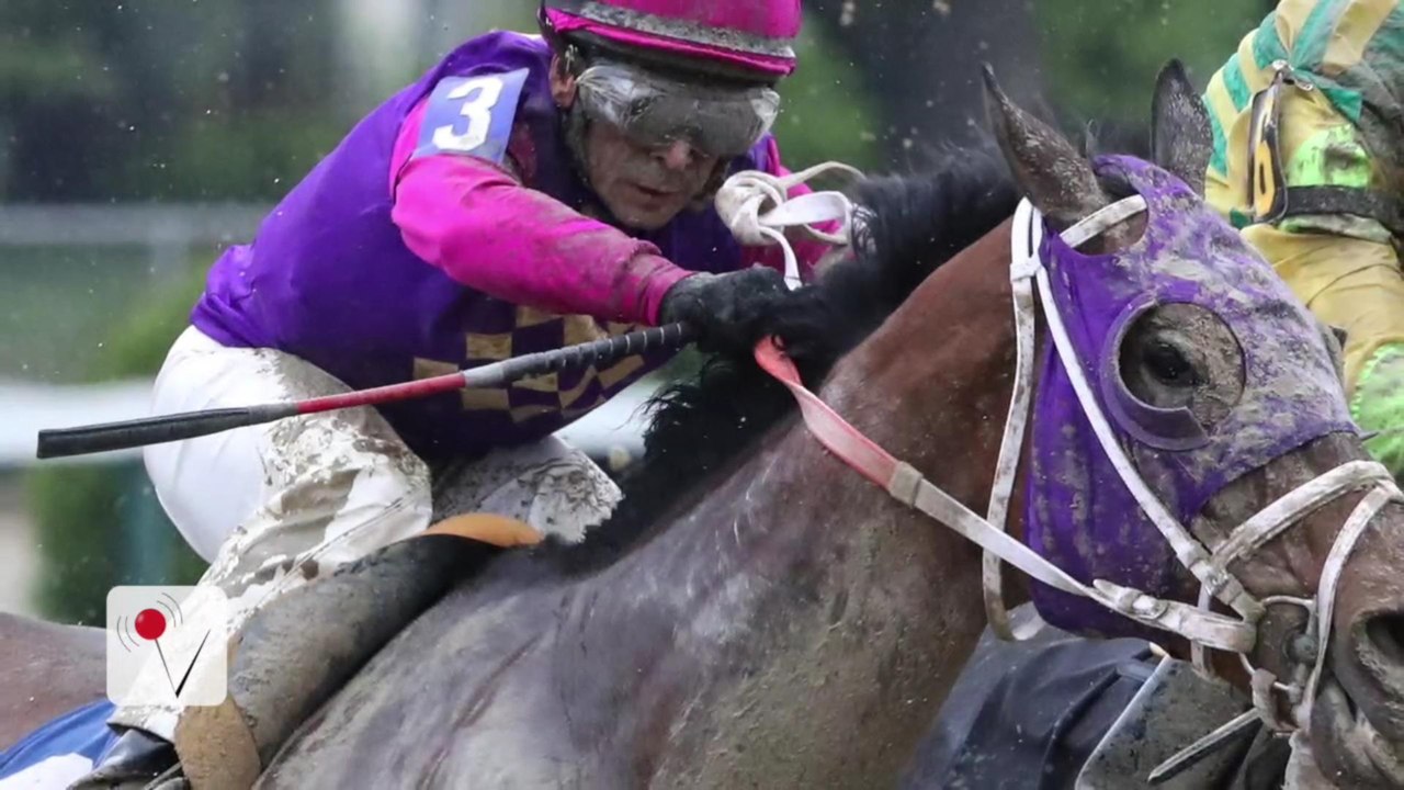 Two Horses Are Dead At Start Of Preakness Day