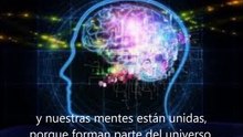LA LEY DEL ANTIALBEDRÍO