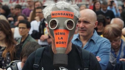 Manifestations à Paris et en province contre la firme américaine Monsanto - 22/05/2016 à 00h00