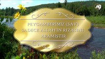 Peygamberimiz (sav) sadece Allah'ın rızasını aramıştır