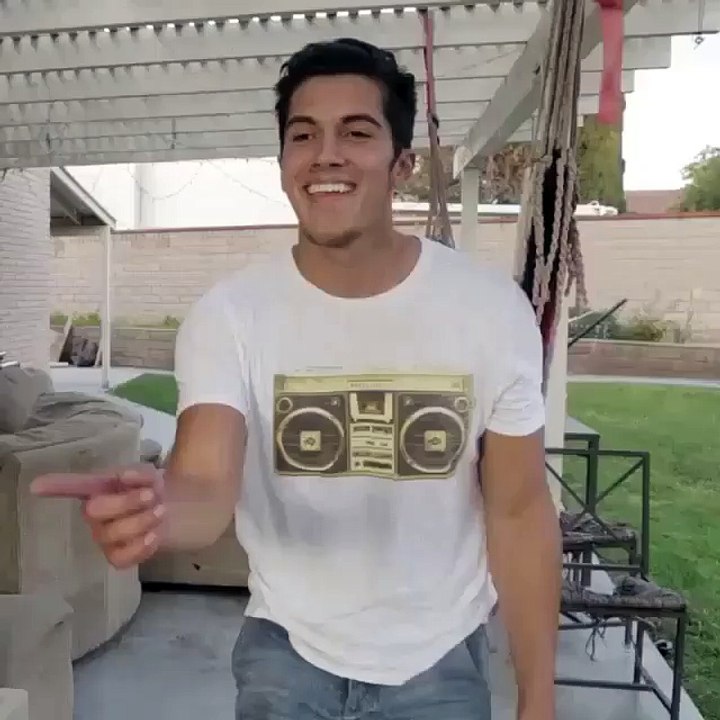 Este Gato Tiene Estilo...