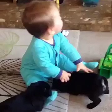 Cute Baby Playing With Two Little Beautiful Black Rabbits