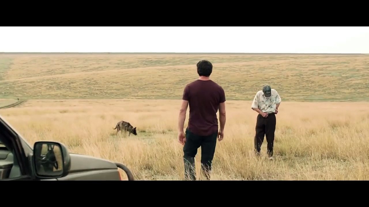 Teaser trailer de Câini — Dogs (HD)