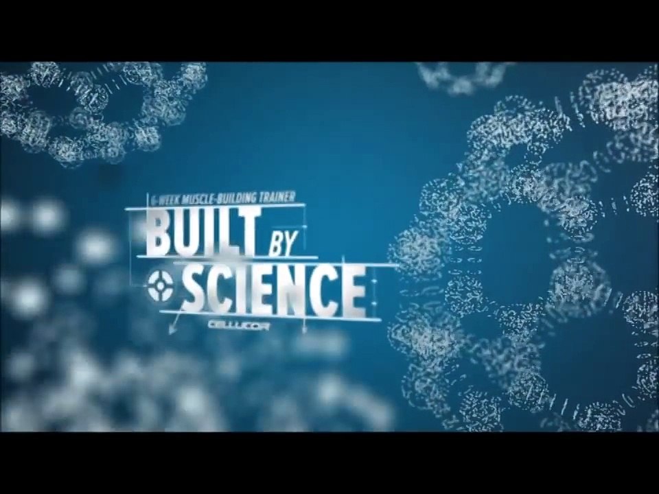 Abdominal Anatomy & Training Program   Built By Science