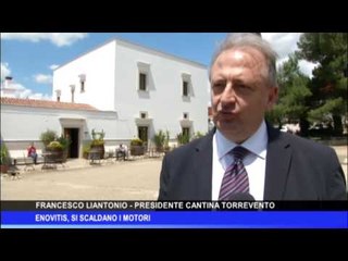 Enovitis, si scaldano i motori