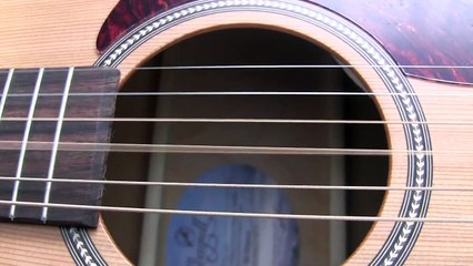 Seagull Original S6 Review and Sound Demo