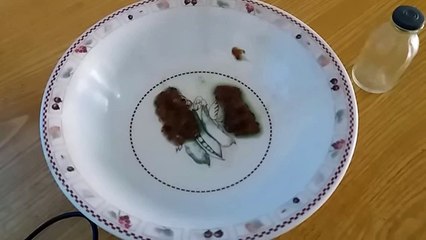 Sanda Ka Tail Kaise Nikalta Hai - Khalis Tail Nikalnay Ka Tarika in Urdu_Hindi - YouTube