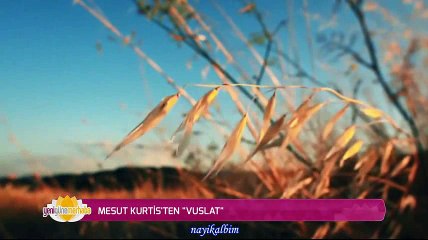 MESUT KURTİŞ VUSLAT Mayıs 2016