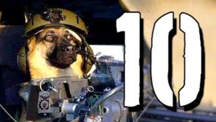 10 krajów bez własnej armii [TOPOWA DYCHA]