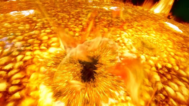 Каким будет конец на самом деле?