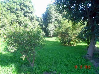 5Kassi na jeyoo perdas    https://www.facebook.com/ChahUmerDinWala5Kassi/