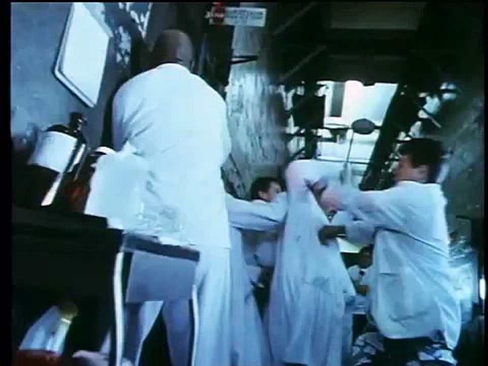 12 Monkeys  (1995)