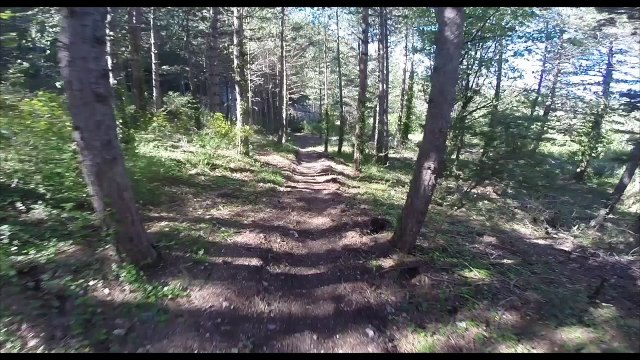 CF UNSS VTT 2016 -Reconnaissance du slalom-vitesse
