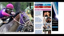 Preakness 2016: Tragedy strikes at rain soaked Preakness as two horses die ahead of the big race