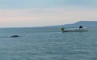 Loch Ness Monster Caught on Camera
