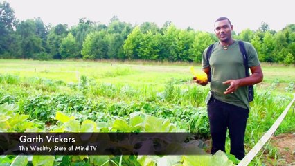 How to Be Independent by Dr. Garth Vickers