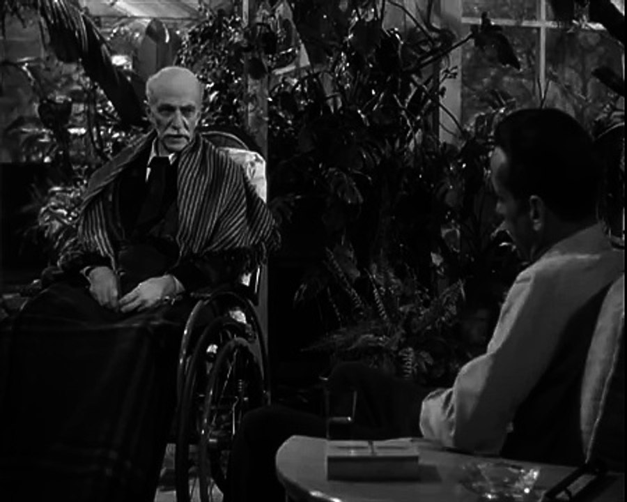 "Do you like orchids" - The Big Sleep